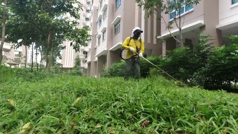 Grasscutting 1 Stockbeeldmateriaal 135852937