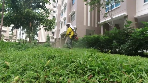 Grasscutting 2 Stockbeeldmateriaal 135853016