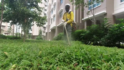 Grasscutting 3 Stockbeeldmateriaal 135853021