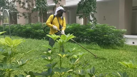 Grasscutting 5 HD Stockbeeldmateriaal 135853379