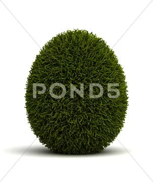 Grassed egg Stock Photos