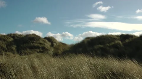 Grasses waving in foreground below clouds blue sky Stock Footage 47076648