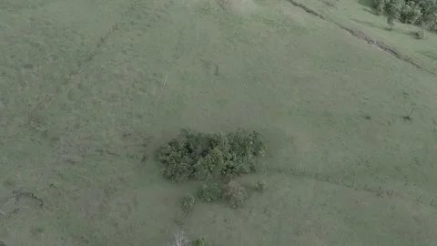 Grassfield Aerial View Stock Footage 312947020