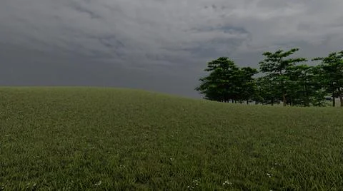 The grassfield with cloudy sky Stock Illustration