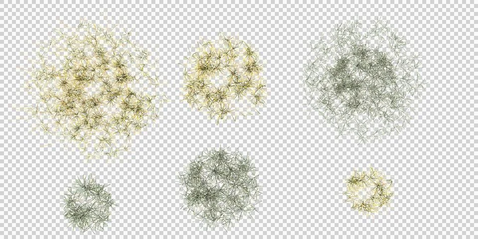 Grass,grass medium,simple grass large top view on white background Stock Photos