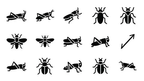 Grasshopper and beetle insect icon collection for science and nature. Stock Illustration