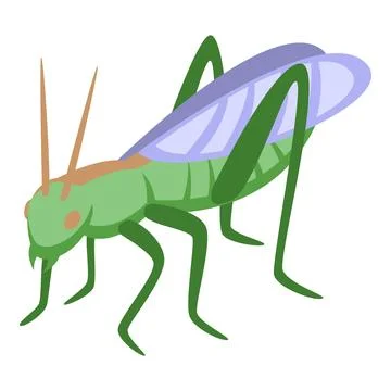 Grasshopper animal icon isometric vector. Cute insect Illustrazione stock