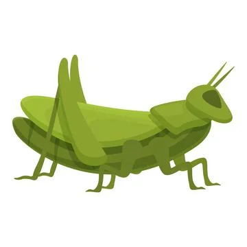 Grasshopper bug icon cartoon vector. Nature mascot Stock Illustration