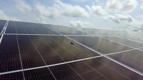 Grasshopper on clean shiny solar panel array zoom-in in Jambur - Gambia, 動画素材 248129096