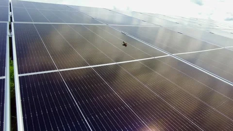 Grasshopper Crawling On Shiny Surface Of Solar Panel At The Field. wide Stock Footage 247684910