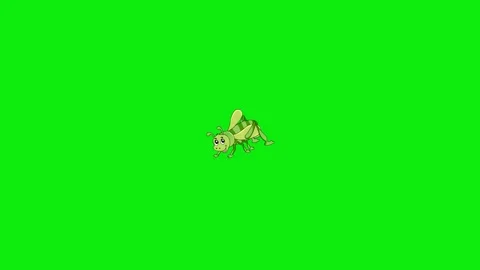 Grasshopper dance video with green background Video stock 324909435