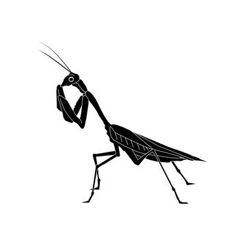 Grasshopper icon Stock Illustration