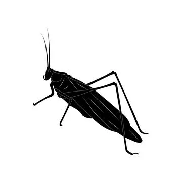 Grasshopper icon Stock Illustration