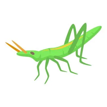 Grasshopper icon isometric vector. Nature insect Illustrazione stock