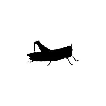 Grasshopper icon. Simple style insect science poster background symbol. Gra.. Stock Illustration