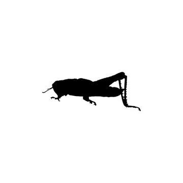 Grasshopper icon. Simple style insect science poster background symbol. Gra.. Stock Illustration
