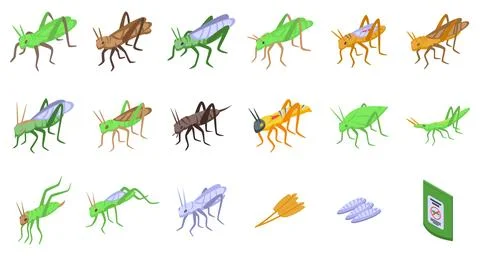 Grasshopper icons set isometric vector. Green bug Stock Illustration