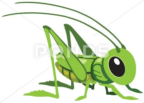 Grasshopper Stock Illustration