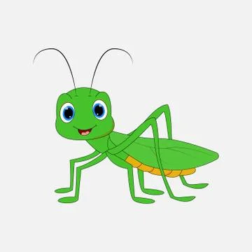 Grasshopper Stock Illustration