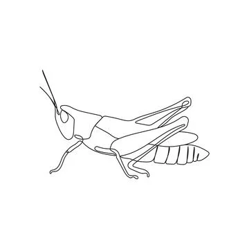 Grasshopper insect in one line drawing style. Stock Illustration