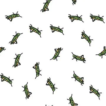 Grasshopper insect vector seamless pattern Illustrazione stock
