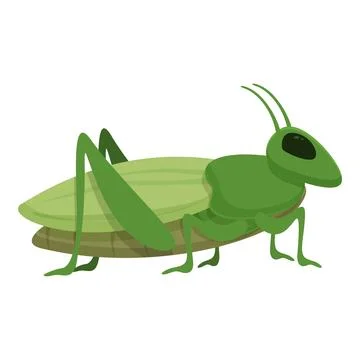 Grasshopper leg icon cartoon vector. Creature bug Stock Illustration
