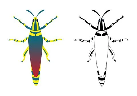 Grasshopper or Locust Vector Illustration Stock Illustration