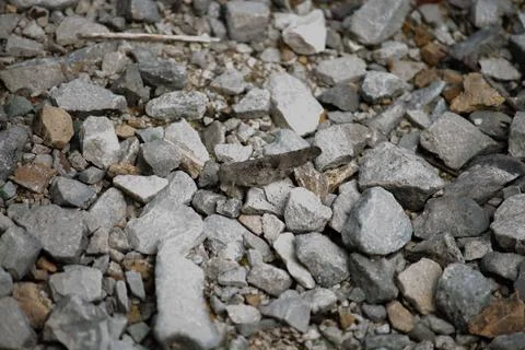 Grasshopper on rocks Stock Photos