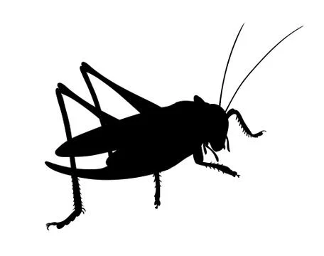 Grasshopper, side view. Silhouette of grasshopper, vector Stock Illustration