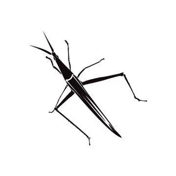 Grasshopper silhouette Stock Illustration