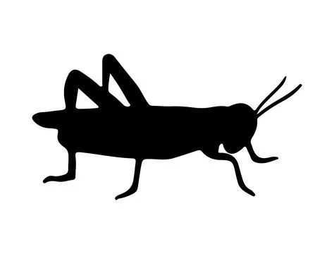 Grasshopper silhouette vector art Stock Illustration