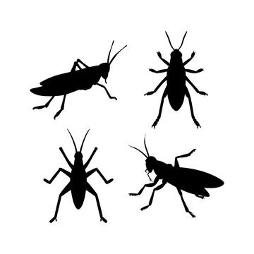 Grasshopper silhouettes Stock Illustration