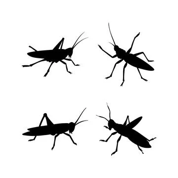 Grasshopper silhouettes Stock Illustration
