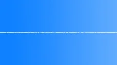 Grasshoppers in the Meadow 05 - Ambient, BackgroundSound Effect