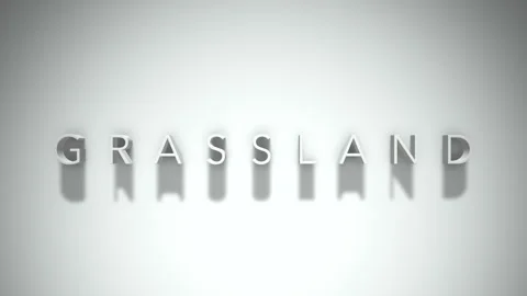 Grassland 3D title animation with shadows on a white background Vídeo Stock 296516825