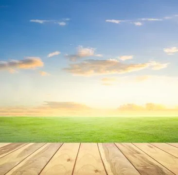 Grassland and sky 库存照片