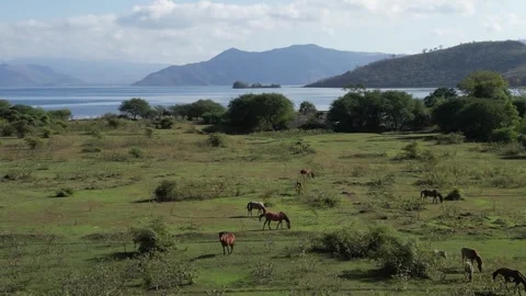 Grassland on the beach with a mountain in the background Stock Footage 289345739
