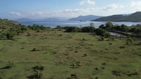 Grassland on the beach with a mountain in the background Stock Footage 289345780
