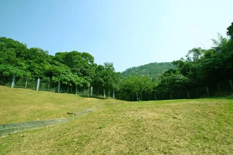 Grassland at day Stock Photos