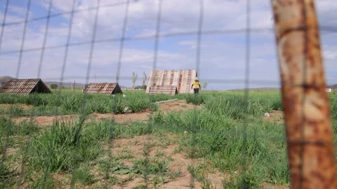 Grassland Fence Stock Footage 333438412