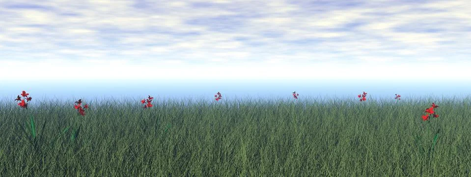 Grassland with flowers - 3D render Stock Illustration
