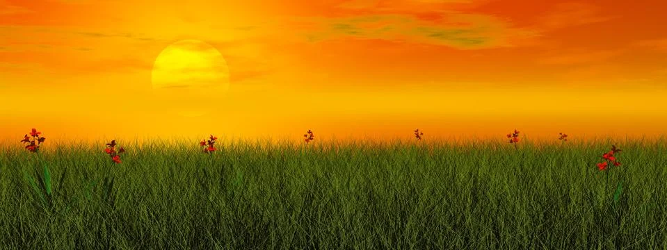 Grassland with flowers - 3D render Stock Illustration