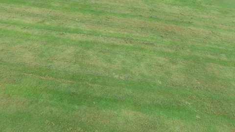 Grassland Stock Footage 79621221