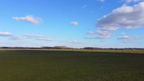 Grassland Stock Footage 156504532