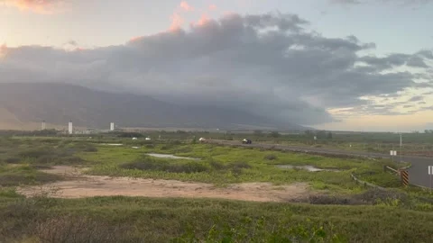 Grassland Video stock 269833598