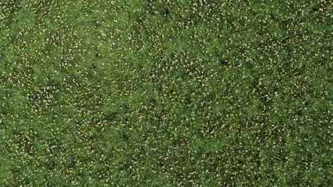 Grassland growth, disappearance and transition animation Stock Footage 313850153