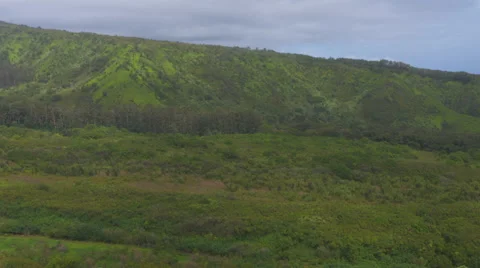 Grassland Landscape Stock Footage 54284580