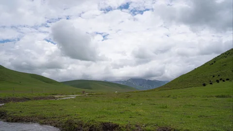 Grassland with Moving Clouds Time Lapse 4K Blue Sky Landscape Stock Footage 319903713