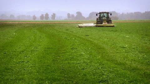 Grassland part 23 of 23 Stock Footage 45527426