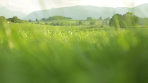 Grassland part 4 of 23 Stock Footage 45488766
